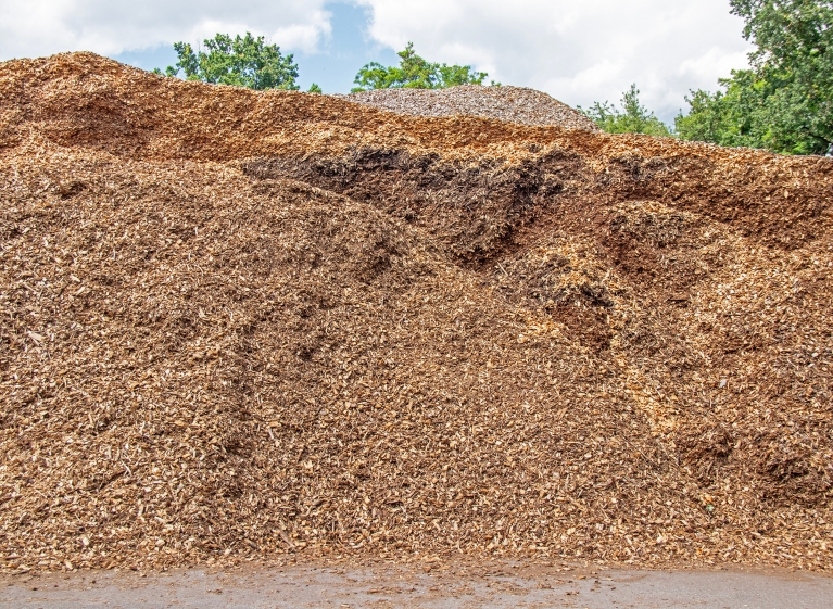 Holzspäne – Gärten