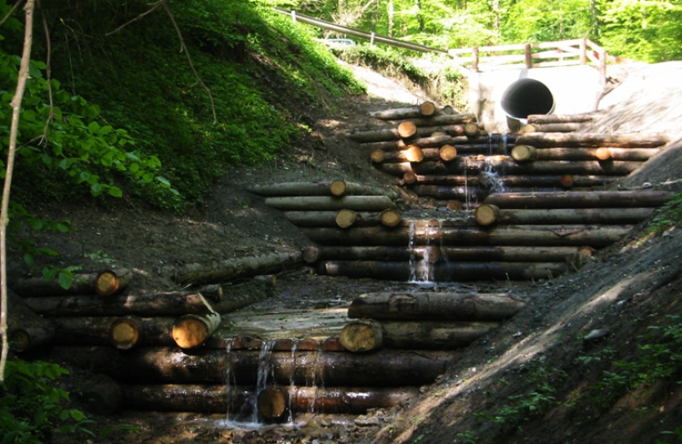 Stabilisation de berges