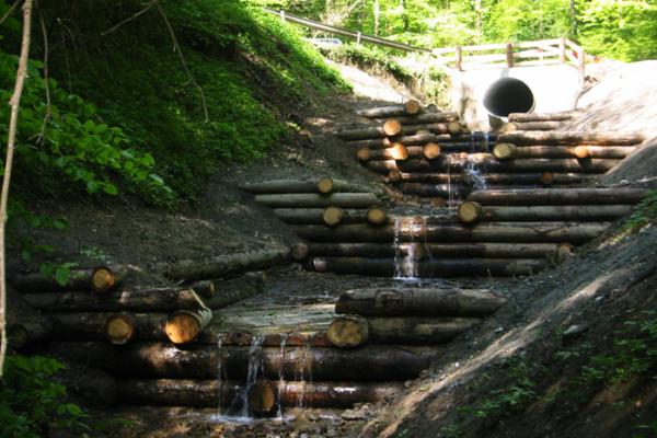 Stabilisation de berges